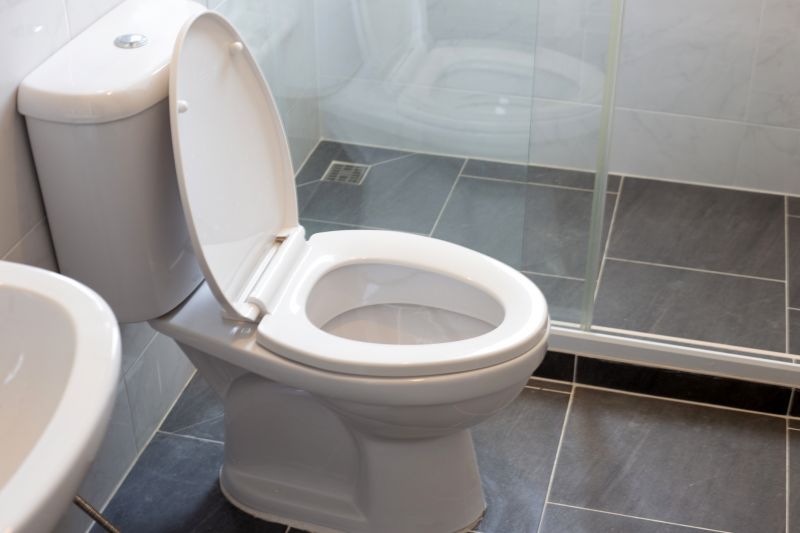 Toilet Installation Service
